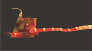 myColor LED Add-On mit LED-Stripe